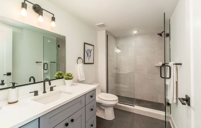 1 bed, 1 bath, 580 sqft, $1,500, Unit Unit 406
