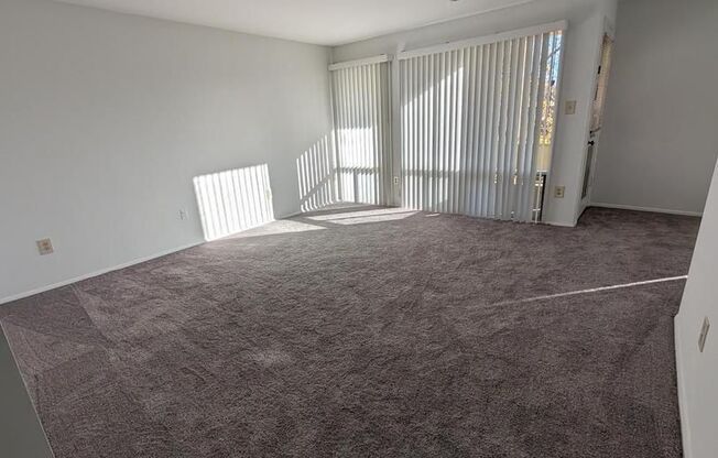 1 bed, 1 bath, $1,450, Unit # #C 3