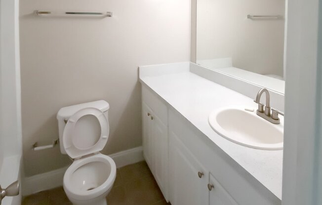 a bathroom with a toilet and a sink and a mirror