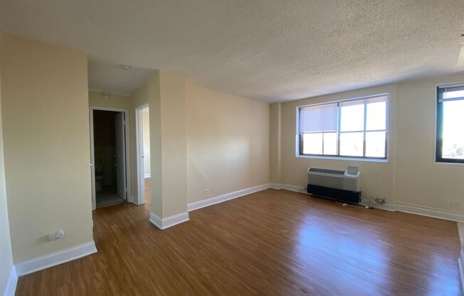 1 bed, 1 bath, 475 sqft, $995, Unit PH07