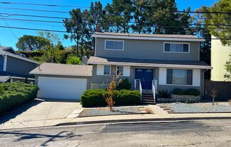 Renovated 4 Bedroom Home in an Idyllic Residential Neighborhood