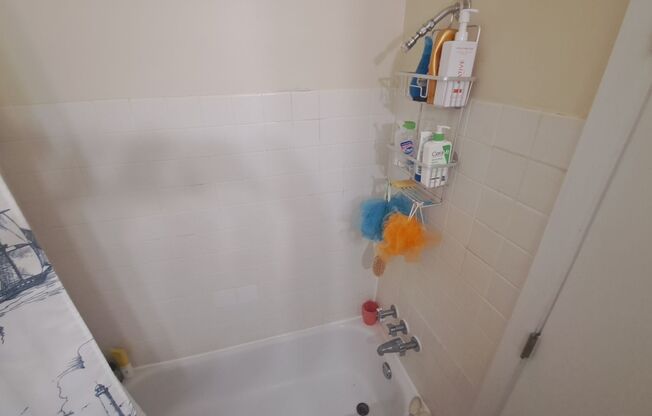 1 bed, 1 bath, 550 sqft, $1,150, Unit 310