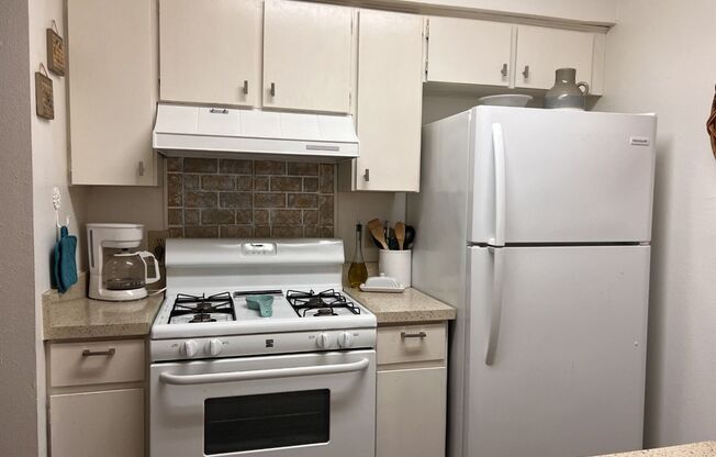 1 bed, 1 bath, 560 sqft, $850, Unit 217