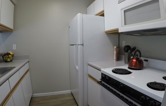 1 bed, 1 bath, 575 sqft, $870