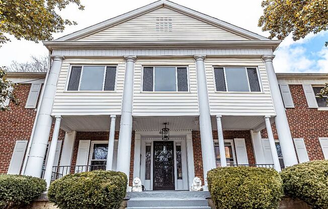 The Ascent Collection - The Local