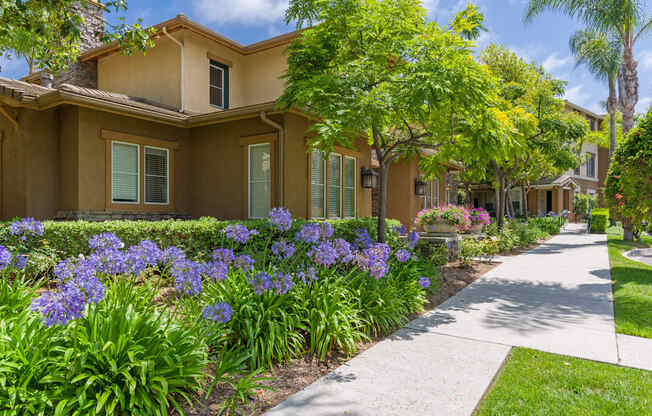 A row of houses with a sidewalk and greenery.