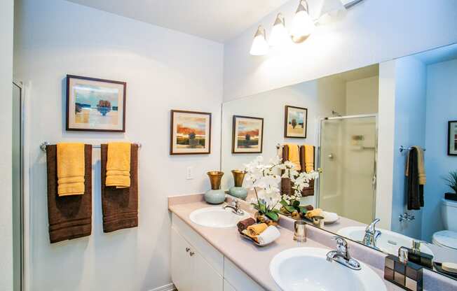 Spacious Model Bathroom in Apartment in Downtown Portland Suburb