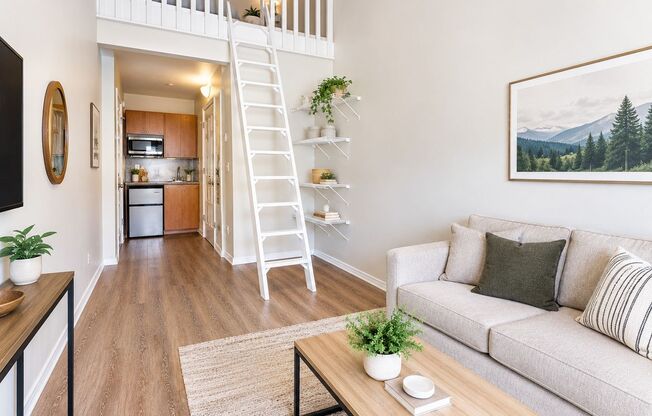 Studio, 1 bath, 150 sqft, $995, Unit 1F
