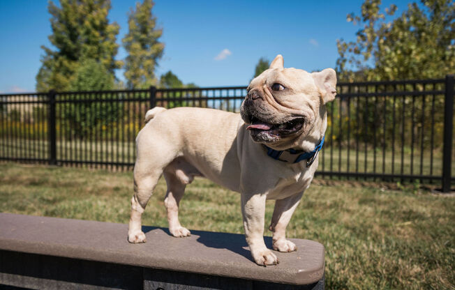 Partner-provided property photo