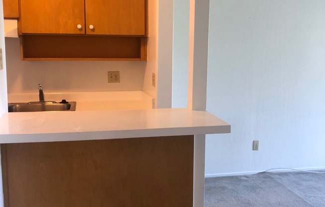 Studio, 1 bath, $1,900