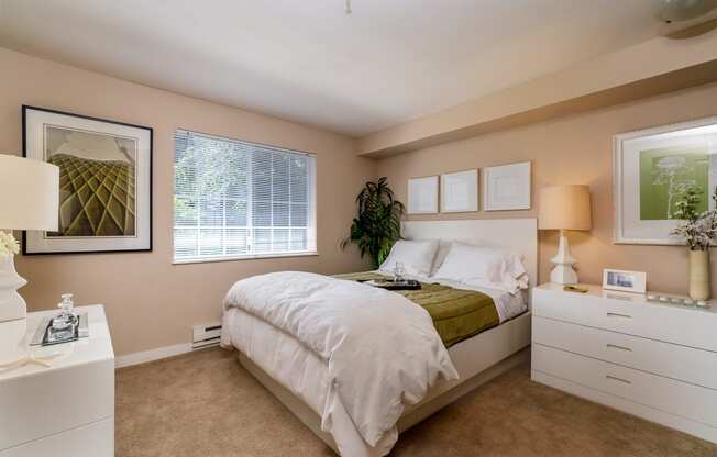 a bedroom with a bed and a dresser