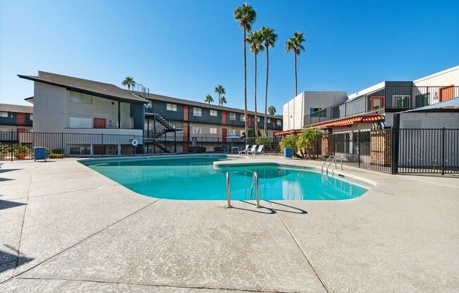 Swimming pool and palm trees