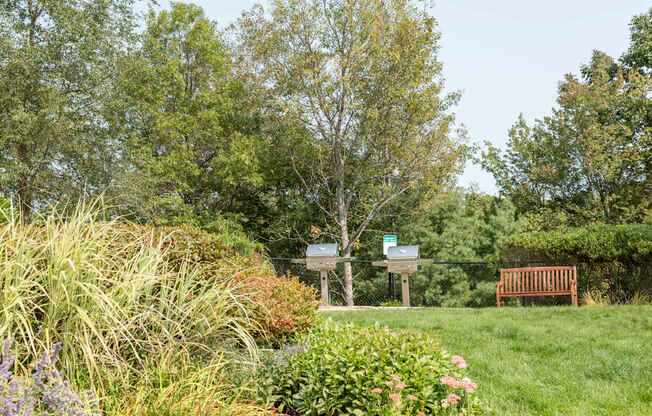 Outdoor Grilling Area with Two Grills and Bench | Canton Woods apartments in MA
