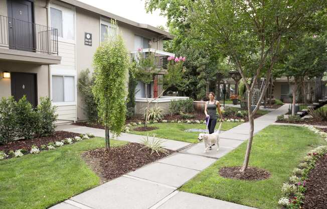 a woman walking her dog on a sidewalk in front of an apartment building