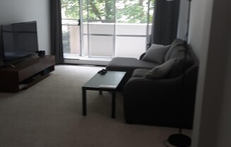 1 bed, 1 bath, 495 sqft, $2,600, Unit 305