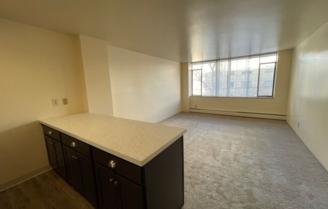Studio, 1 bath, 360 sqft, $1,050, Unit 309