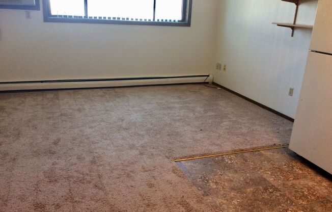 Studio, 1 bath, 350 sqft, $699, Unit 27