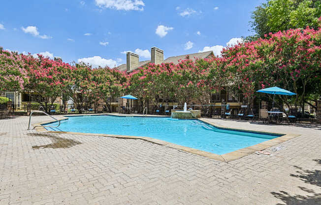 A pool surrounded by trees with pink flowers.