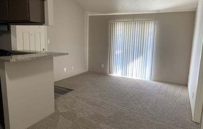 1 bed, 1 bath, 545 sqft, $795, Unit 2402