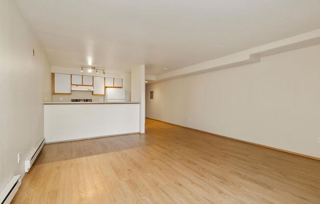 Studio, 1 bath, 504 sqft, $1,495, Unit 115