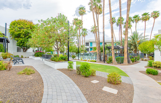 a courtyard with palm trees and a building in the background