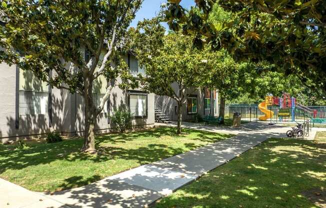 A tree-lined sidewalk in a sunny park.