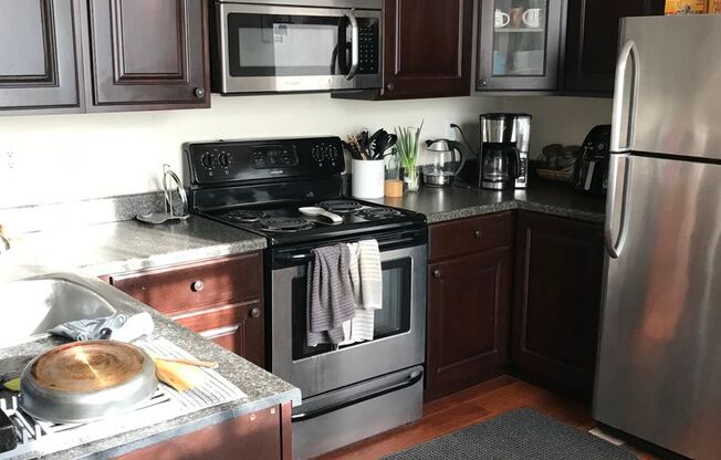 1 bed, 1 bath, 528 sqft, $1,300, Unit 206