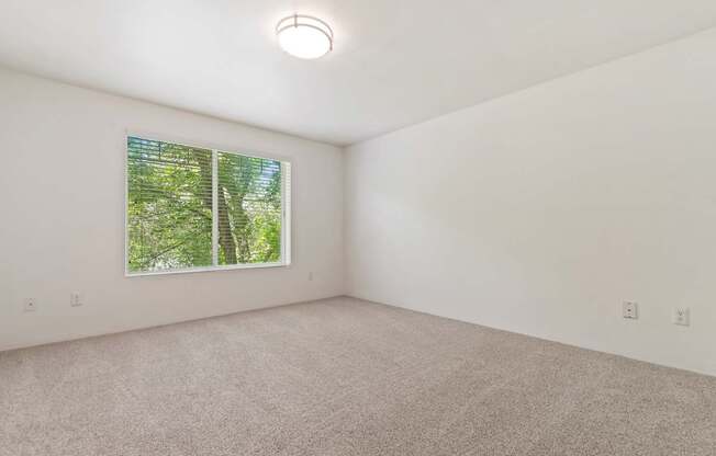A room with a window and a carpeted floor.