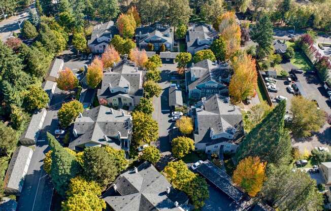 an aerial view of a neighborhood with houses and trees