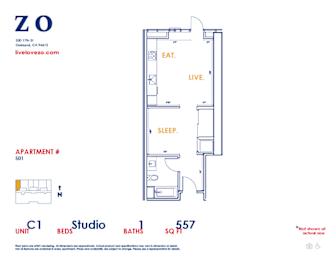 Studio, 1 bath, 557 sqft, $2,340