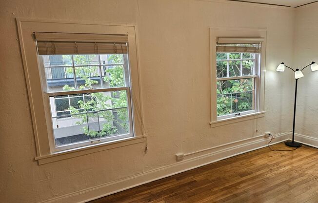 Studio, 1 bath, 337 sqft, $1,249, Unit 25