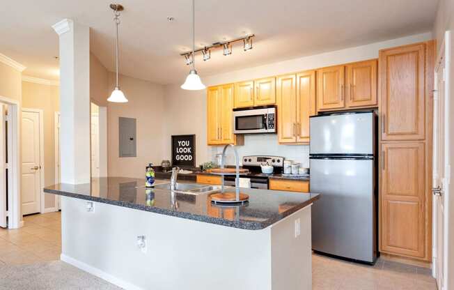 Madison Apartments for Rent - Arch Street - Modern Kitchen with Stainless Steel Appliances