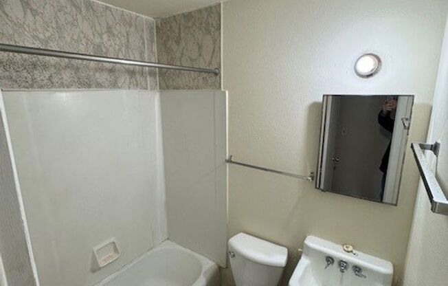 Studio, 1 bath, 325 sqft, $1,150, Unit 2