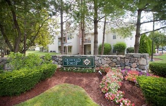 2 SQUIRE CT