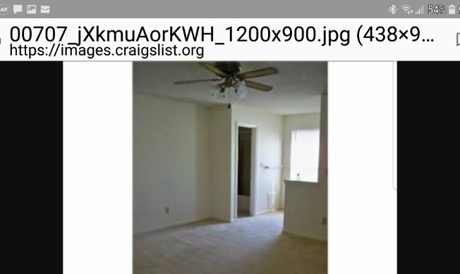 282 FERDINAND CIR