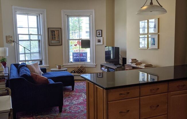 South End 1 bedroom for 9/1 on Tremont Street