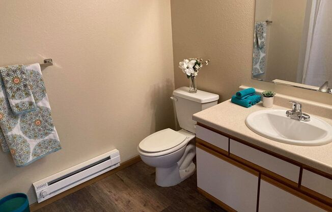 2 beds, 2 baths, 880 sqft, $1,395, Unit 2113-305
