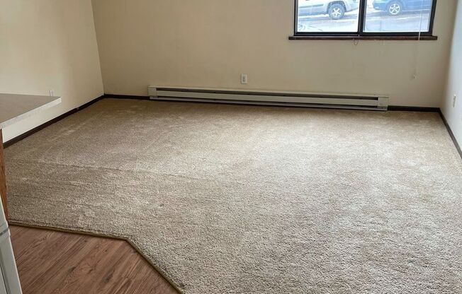 Studio, 1 bath, 300 sqft, $1,055, Unit 102-210