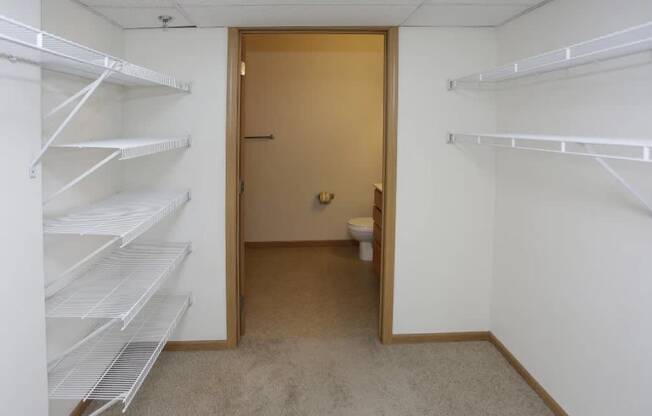 A room with white shelves and a toilet in the doorway.