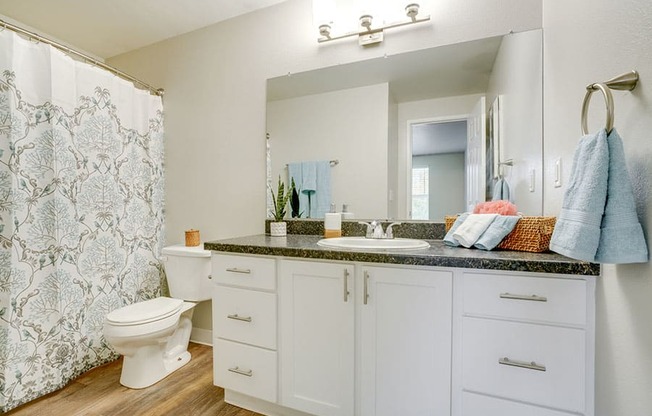 Bathroom vanity and shower