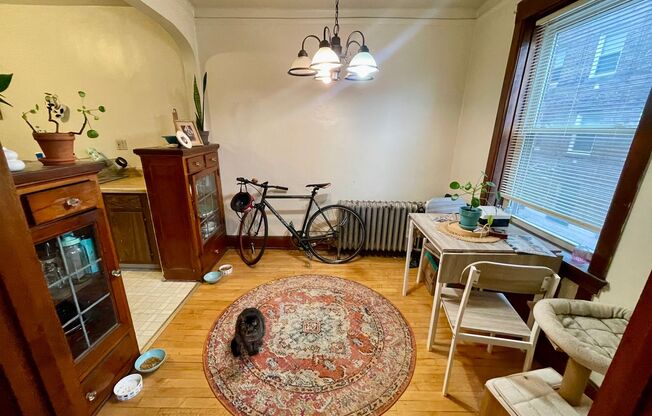 1 bed, 1 bath, $950, Unit 27