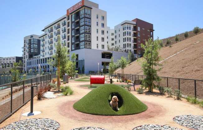 a view of a park with buildings in the background