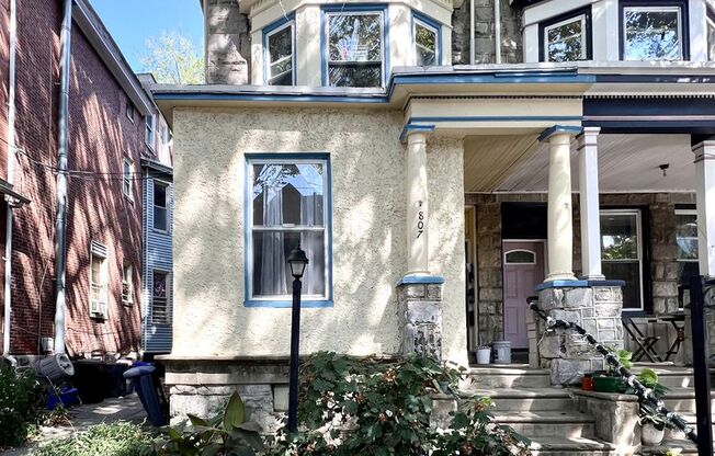 Saint Bernard St S 807