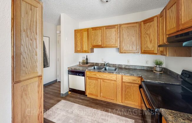 NEWLY UPDATED 2 BEDROOM NEAR DOWNTOWN SIOUX FALLS! PET FRIENDLY!