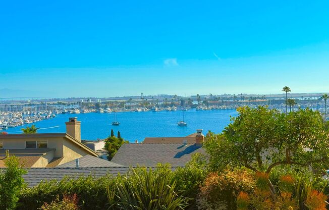 Gorgeous Ocean, City, and Harbor View Home