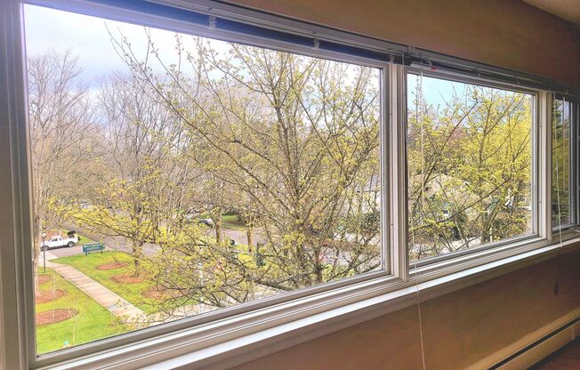 1 bed, 1 bath, 589 sqft, $1,400, Unit 207