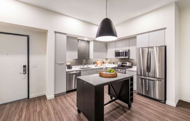 Stainless Steel Kitchen at The Herald Apartments