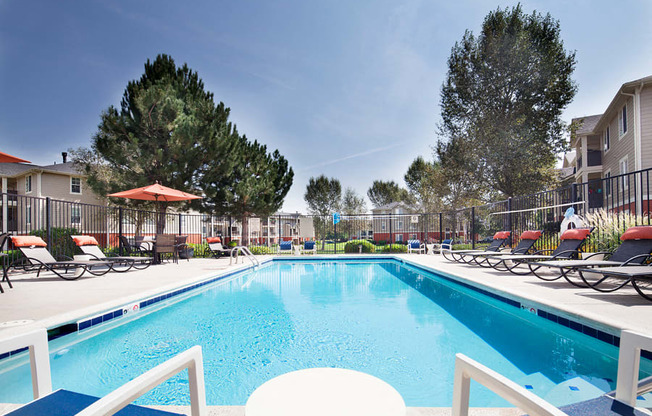 Ardenne Apartments pool with chairs and tall green trees