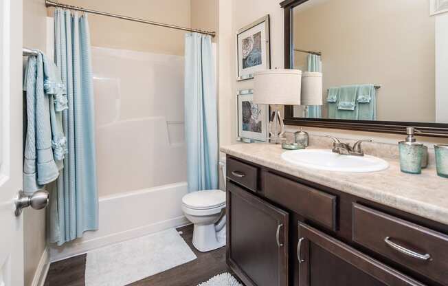 Bathroom with vanity, toilet, and tub/shower at Riverstone apartments for rent in Macon, GA