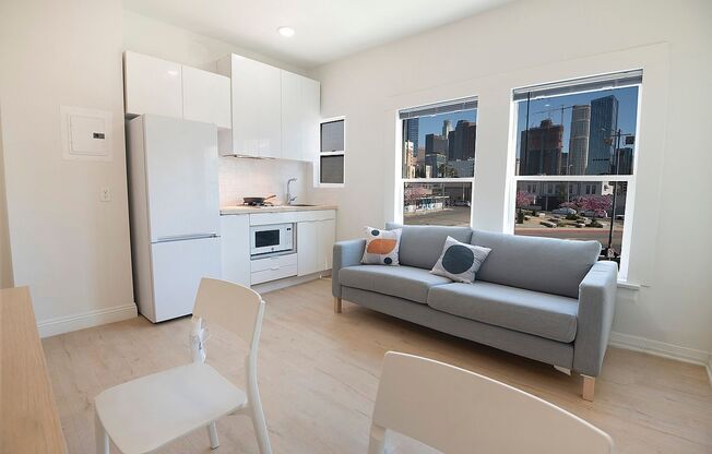 Studio, 1 bath, 214 sqft, $1,600, Unit 117